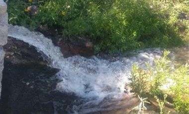 Finca-Rancho en Venta en Agua de los Padres, Parras, Coahuila de Zaragoza