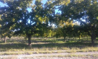 Finca-Rancho en Venta en Agua de los Padres, Parras, Coahuila de Zaragoza