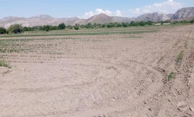 Terreno en Venta en Carlos Real (San Carlos), Lerdo, Durango