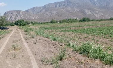 Terreno en Venta en Carlos Real (San Carlos), Lerdo, Durango