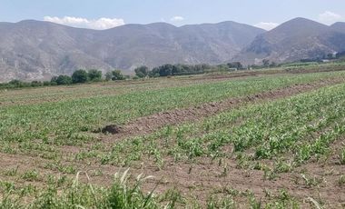 Terreno en Venta en Carlos Real (San Carlos), Lerdo, Durango