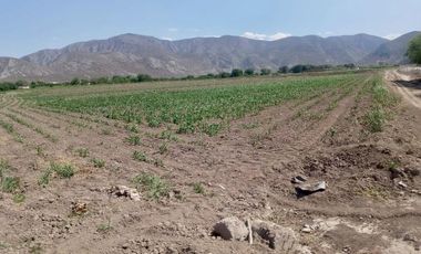 Terreno en Venta en Carlos Real (San Carlos), Lerdo, Durango
