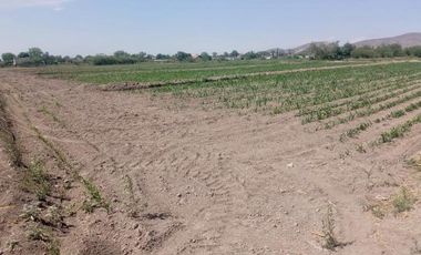 Terreno en Venta en Carlos Real (San Carlos), Lerdo, Durango