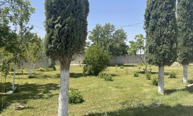 Finca-Rancho en Venta en Trece de Marzo, Gómez Palacio, Durango