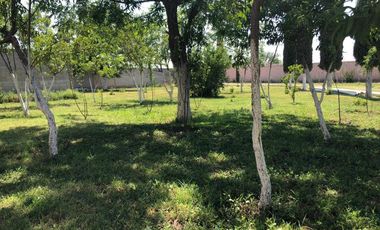 Finca-Rancho en Venta en Trece de Marzo, Gómez Palacio, Durango