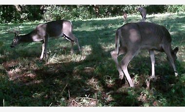 Finca-Rancho en Venta en LA YERBABUENA, Allende, Nuevo León