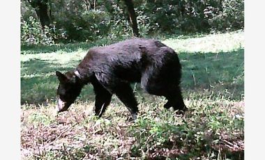 Finca-Rancho en Venta en LA YERBABUENA, Allende, Nuevo León