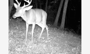 Finca-Rancho en Venta en LA YERBABUENA, Allende, Nuevo León