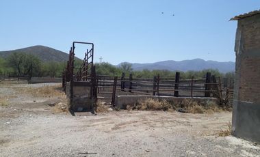 Finca-Rancho en Venta en Establera San Francisco, Gómez Palacio, Durango