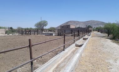 Finca-Rancho en Venta en Establera San Francisco, Gómez Palacio, Durango