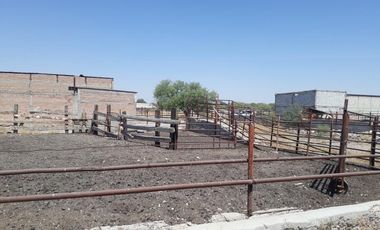 Finca-Rancho en Venta en Establera San Francisco, Gómez Palacio, Durango