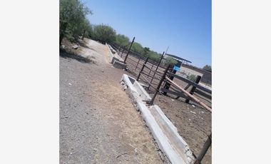 Finca-Rancho en Venta en Establera San Francisco, Gómez Palacio, Durango