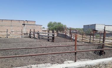 Finca-Rancho en Venta en Establera San Francisco, Gómez Palacio, Durango