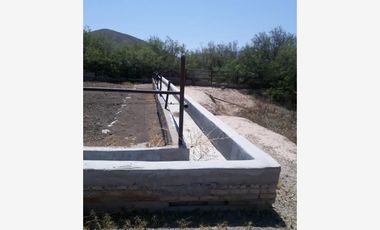 Finca-Rancho en Venta en Establera San Francisco, Gómez Palacio, Durango