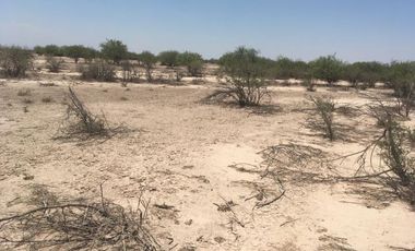 Terreno en Venta en San Martín, Gómez Palacio, Durango