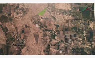 Terreno en Venta en San Martín, Gómez Palacio, Durango