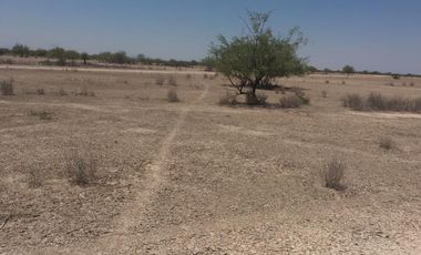 Terreno en Venta en San Martín, Gómez Palacio, Durango