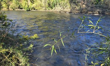 PARCELAS CON CRÉDITO DIRECTO Y ROL PROPIO