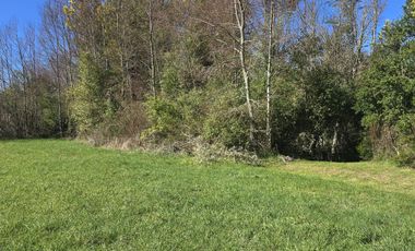 PARCELAS CON CRÉDITO DIRECTO Y ROL PROPIO