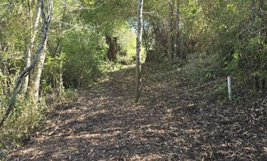 PARCELAS CON CRÉDITO DIRECTO Y ROL PROPIO