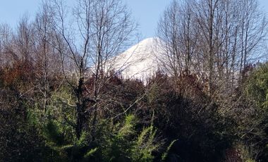 PARCELAS CON CRÉDITO DIRECTO Y ROL PROPIO