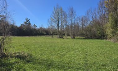 PARCELAS CON CRÉDITO DIRECTO Y ROL PROPIO