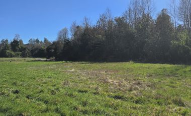 PARCELAS CON CRÉDITO DIRECTO Y ROL PROPIO