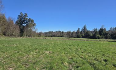 PARCELAS CON CRÉDITO DIRECTO Y ROL PROPIO