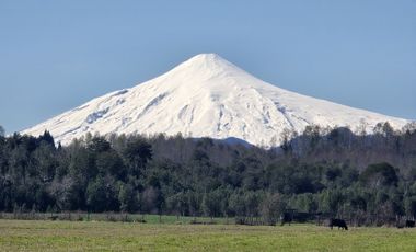 PARCELAS CON CRÉDITO DIRECTO Y ROL PROPIO