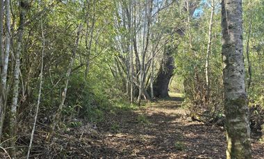 PARCELAS CON CRÉDITO DIRECTO Y ROL PROPIO