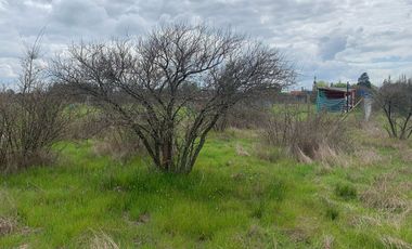 VENTA DE PARCELA   SECTOR ESPINOL CAMINO A BULNES -ÑUBLE