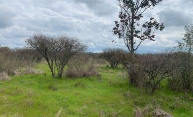 VENTA DE PARCELA   SECTOR ESPINOL CAMINO A BULNES -ÑUBLE
