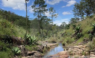 Casa en venta en Pueblo Chiquilistlan