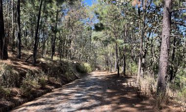 Casa en venta en Pueblo Chiquilistlan