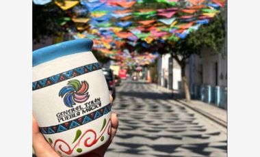 Finca-Rancho en Venta en San Pedro, General Terán, Nuevo León