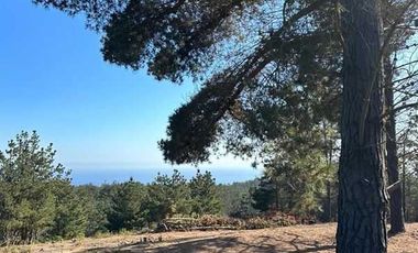 Parcela en venta  en VALPARAÍSO