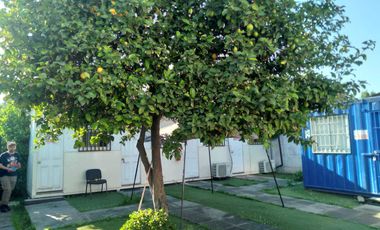 Oficina en arriendo en MACUL