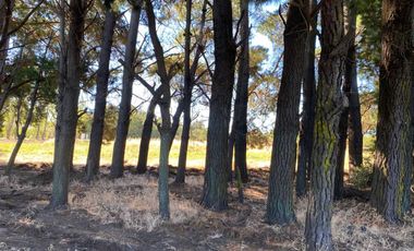 Parcela en venta en LOS ANGELES