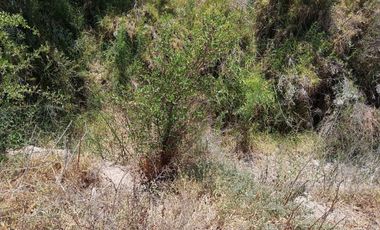 SE ARRIENDA Parcela en condominio Doña Eliana