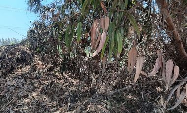 SE ARRIENDA Parcela en condominio Doña Eliana