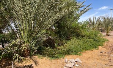 SE VENDE Casa en condominio Altos de Pica