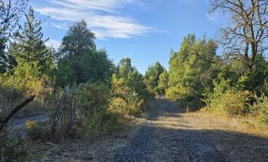 VENDO GRAN TERRENO CON ACCESO A RIO, A ORILLA DE CARRETERA