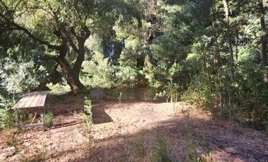 VENDO GRAN TERRENO CON ACCESO A RIO, A ORILLA DE CARRETERA