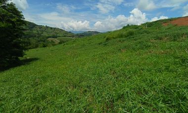 LOTE EN VENTA EN SANTAGUEDA/ PALESTINA