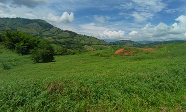 LOTE EN VENTA EN SANTAGUEDA/ PALESTINA