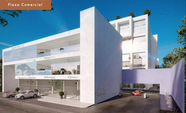 Local comercial en terraza. en Av. Tecnológico, Metepec, Estado de México