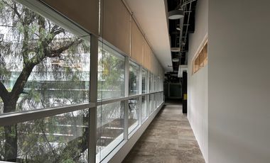 Oficina Corporativa de 1,556 M2 en Vallejo