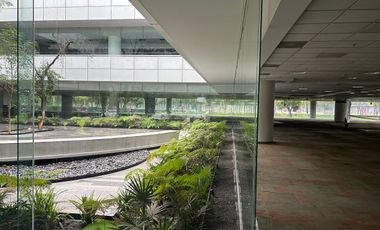 Oficina Corporativa de 3,391 M2 en Vallejo