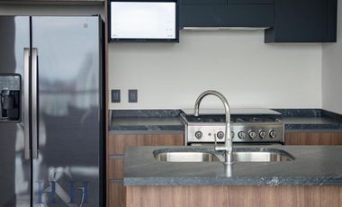 SE RENTA DEPARTAMENTO AMUEBLADO EN PROVIDENCIA