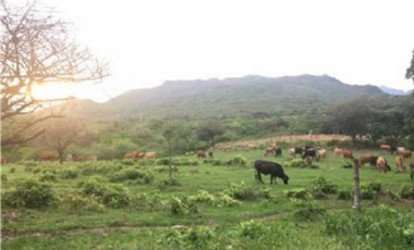 Se vende Finca en Rio Grande, Penonome